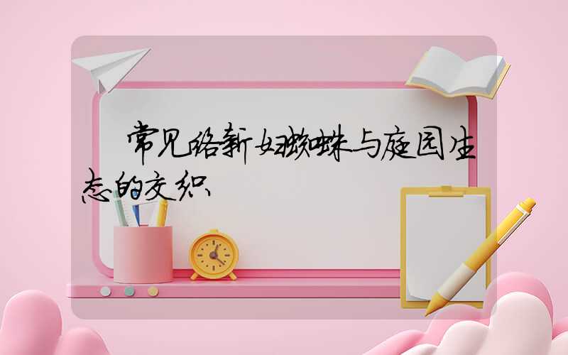  常见络新妇蜘蛛与庭园生态的交织